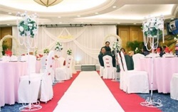 婚礼地毯人造草坪 规格